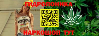 мдпв Тверь