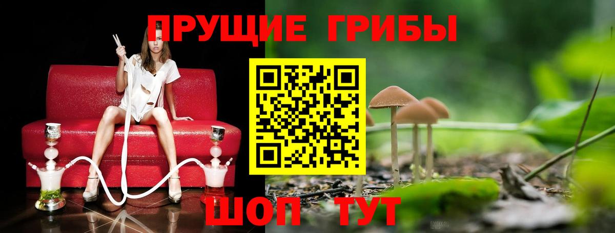 Мелеуз  Галлюциногенные грибы Psilocybe  Вход с VPN  купить закладку  Псилоцибиновые грибы GOLDEN TEACHER 